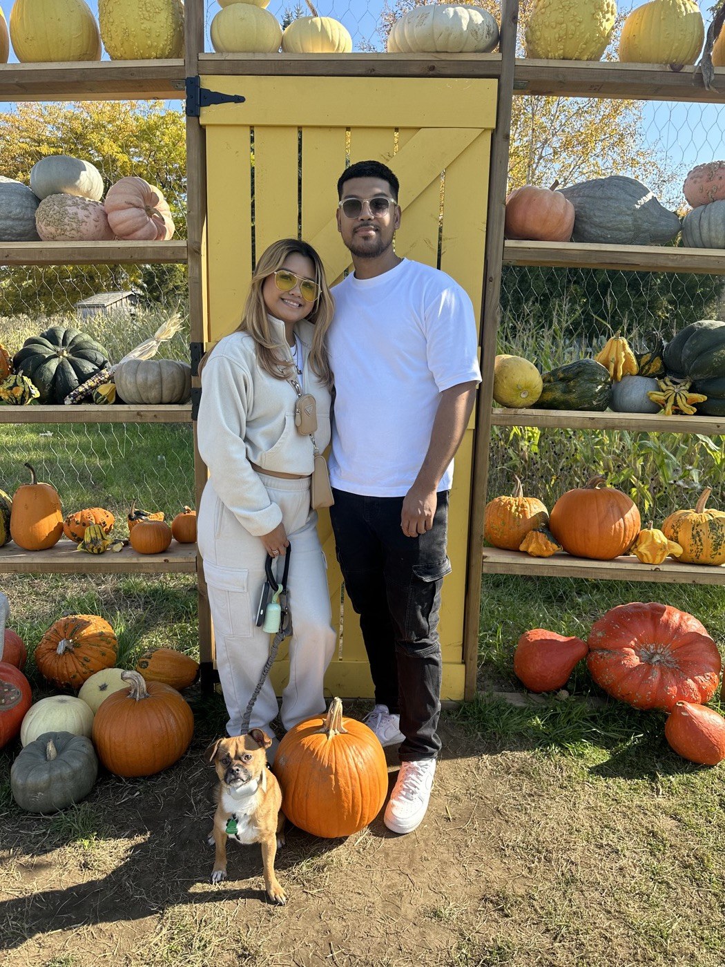 Phil, Kaitlin, and their dog at the pumpkin patch